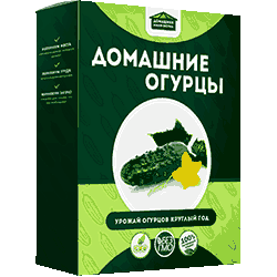 Дамашняя мини ферма огурцов