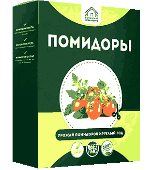 Домашняя мини ферма помидоры