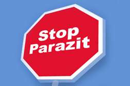 Antiparasitus актуален от всех распространённых паразитов, поражающих человека.