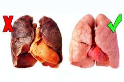 Smoke Out обладает свойством выводить табачные смолы, очищая от токсинов слизистые оболочки и лёгкие.
