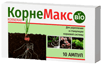 Средство КорнеМакс.