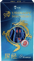 Лекарство Urinary Meridian мини версия.