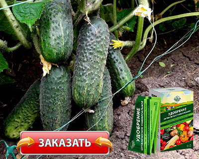 Удобрение Агросев био купить по доступной цене.