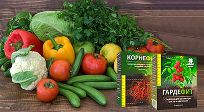Удобрения Корнефит и Гардефит для урожайности.